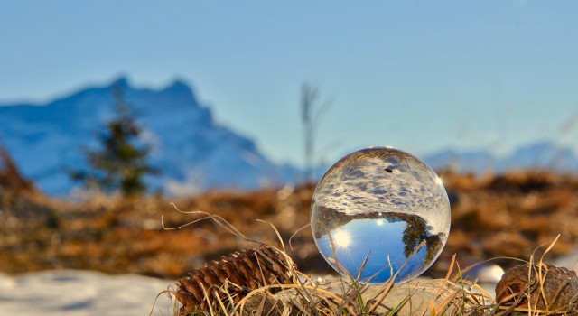 crystal ball optimistic